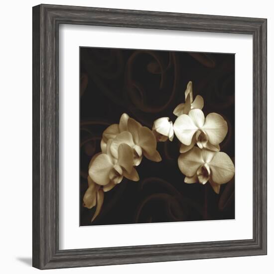 Elegance-Ily Szilagyi-Framed Art Print