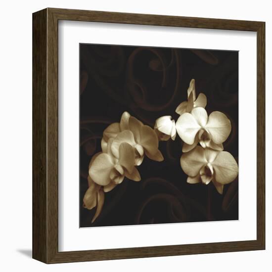 Elegance-Ily Szilagyi-Framed Art Print