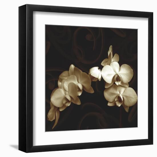 Elegance-Ily Szilagyi-Framed Art Print