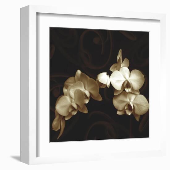 Elegance-Ily Szilagyi-Framed Art Print