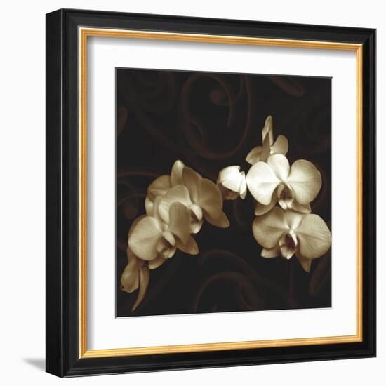 Elegance-Ily Szilagyi-Framed Art Print