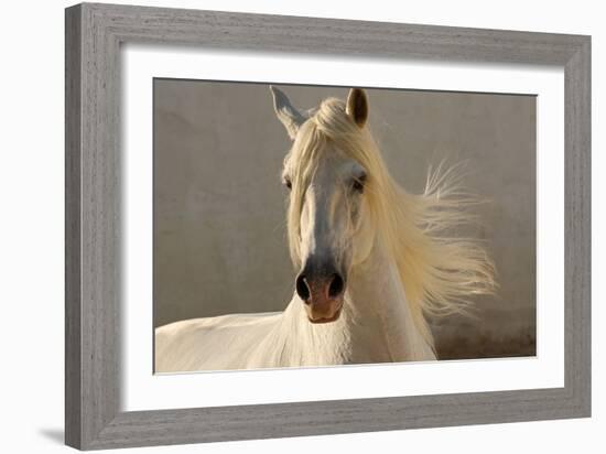 Elegance-Tony Stromberg-Framed Photographic Print