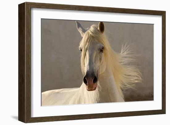 Elegance-Tony Stromberg-Framed Photographic Print