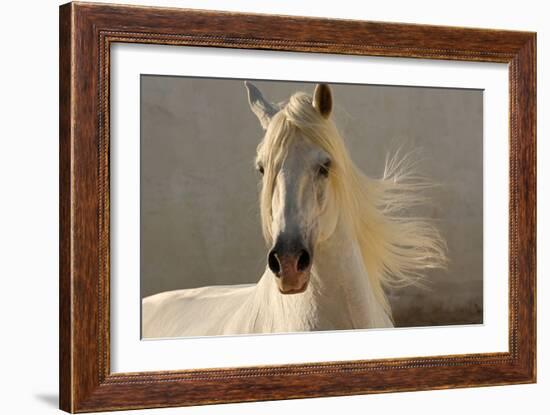 Elegance-Tony Stromberg-Framed Photographic Print