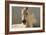 Elegance-Tony Stromberg-Framed Photographic Print