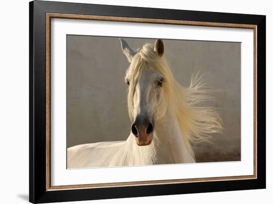 Elegance-Tony Stromberg-Framed Photographic Print