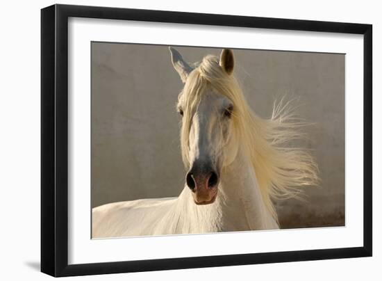 Elegance-Tony Stromberg-Framed Photographic Print