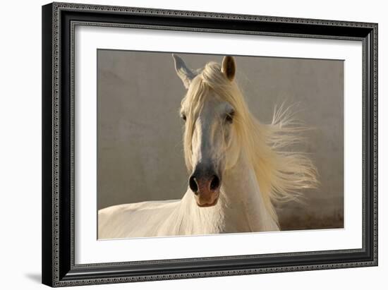 Elegance-Tony Stromberg-Framed Photographic Print