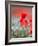 Elegance-Marco Carmassi-Framed Photographic Print