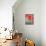 Elegance-Marco Carmassi-Mounted Photographic Print displayed on a wall