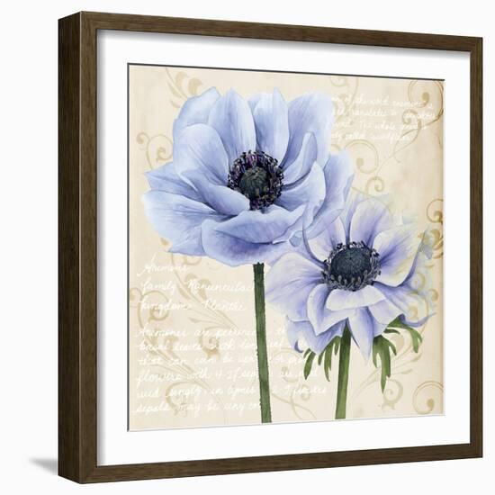 Elegant Anemone I-Grace Popp-Framed Art Print