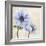 Elegant Anemone II-Grace Popp-Framed Art Print