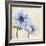 Elegant Anemone II-Grace Popp-Framed Art Print