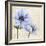 Elegant Anemone II-Grace Popp-Framed Art Print