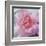 Elegant Bloom II-Malcolm Sanders-Framed Art Print