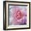 Elegant Bloom II-Malcolm Sanders-Framed Art Print