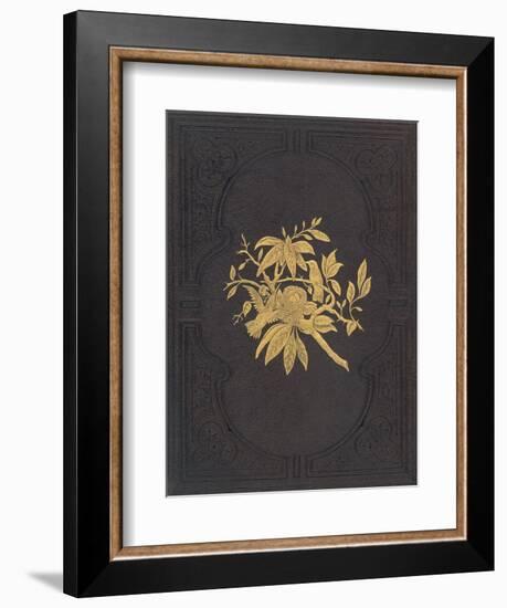 Elegant Book Cover-null-Framed Premium Giclee Print