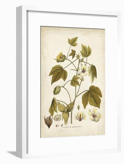 Elegant Botanical I-J.j. Plenck-Framed Art Print