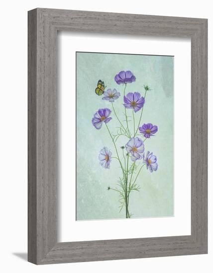 Elegant Cosmos Flowers-Lydia Jacobs-Framed Photographic Print