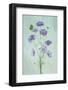 Elegant Cosmos Flowers-Lydia Jacobs-Framed Photographic Print