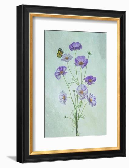 Elegant Cosmos Flowers-Lydia Jacobs-Framed Photographic Print