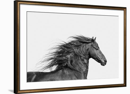 Elegant Grace - Noir-Irene Suchocki-Framed Art Print