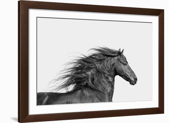 Elegant Grace - Noir-Irene Suchocki-Framed Giclee Print