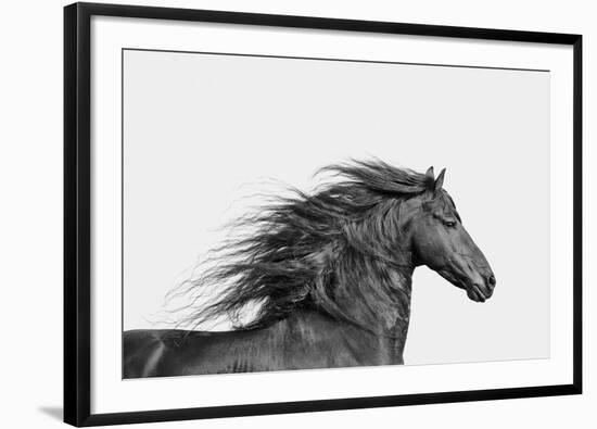 Elegant Grace - Noir-Irene Suchocki-Framed Giclee Print