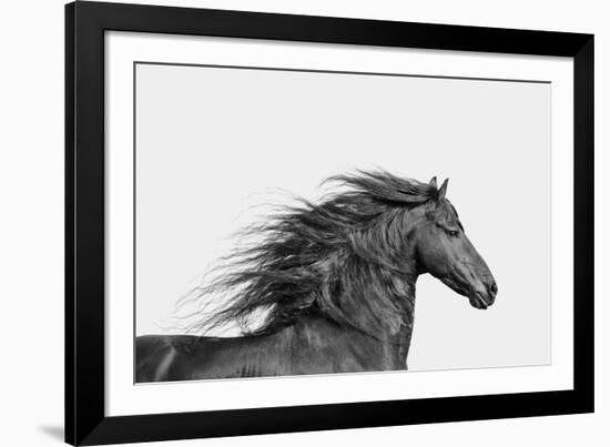 Elegant Grace - Noir-Irene Suchocki-Framed Giclee Print