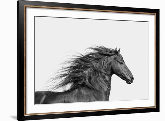 Elegant Grace - Noir-Irene Suchocki-Framed Giclee Print