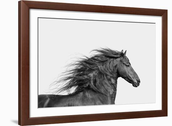 Elegant Grace - Noir-Irene Suchocki-Framed Giclee Print