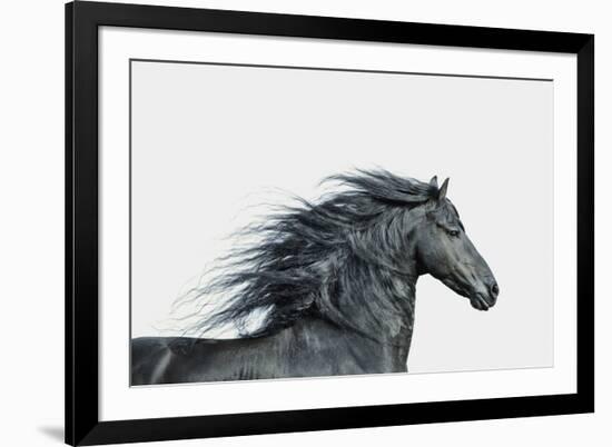 Elegant Grace-Irene Suchocki-Framed Giclee Print