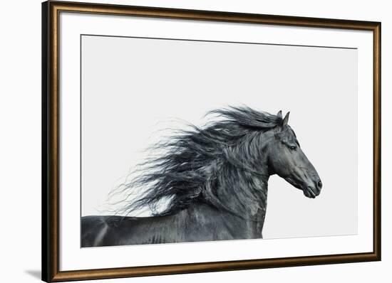 Elegant Grace-Irene Suchocki-Framed Giclee Print