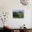 Elegant Horse Barn Atop Hill, Woodford County, Kentucky, USA-Dennis Flaherty-Photographic Print displayed on a wall