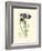 Elegant Iris II-Samuel Curtis-Framed Art Print