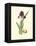 Elegant Iris III-Samuel Curtis-Framed Stretched Canvas