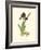 Elegant Iris III-Samuel Curtis-Framed Art Print