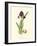 Elegant Iris III-Samuel Curtis-Framed Art Print