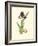 Elegant Iris III-Samuel Curtis-Framed Art Print