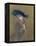 Elegant Lady-Paul Cesar Helleu-Framed Premier Image Canvas