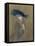 Elegant Lady-Paul Cesar Helleu-Framed Premier Image Canvas