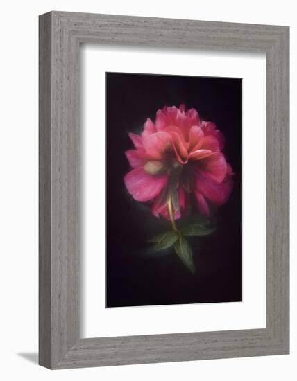 Elegant Lady-Philippe Sainte-Laudy-Framed Photographic Print