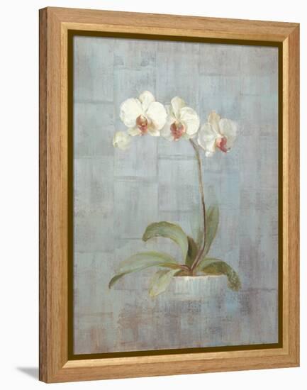 Elegant Orchid II-Danhui Nai-Framed Stretched Canvas