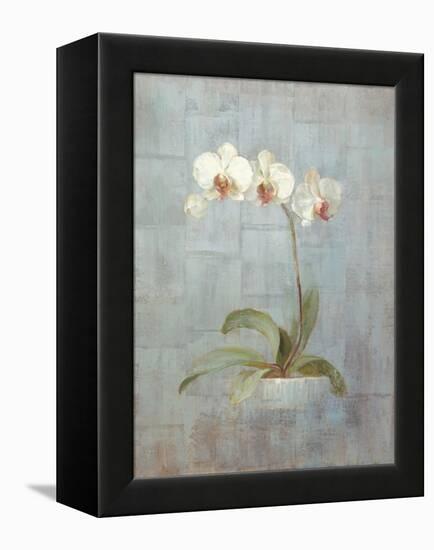 Elegant Orchid II-Danhui Nai-Framed Stretched Canvas