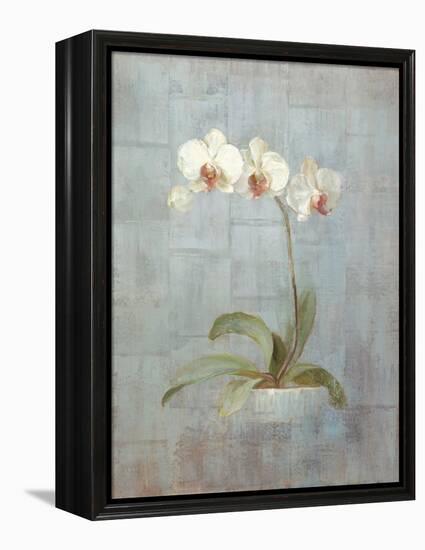 Elegant Orchid II-Danhui Nai-Framed Stretched Canvas