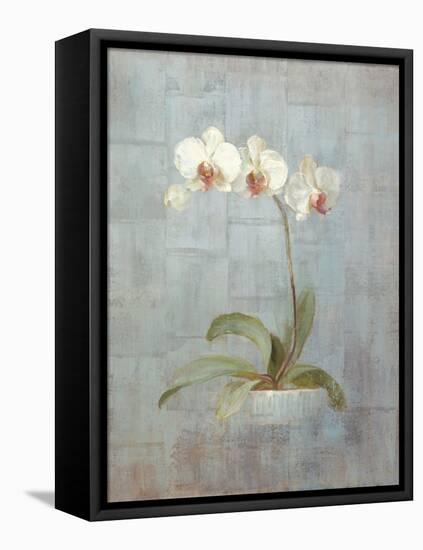 Elegant Orchid II-Danhui Nai-Framed Stretched Canvas