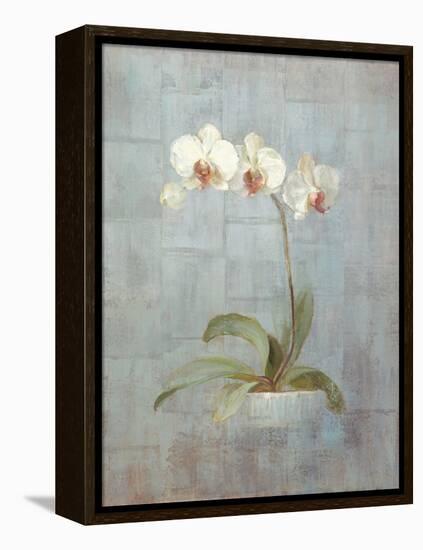 Elegant Orchid II-Danhui Nai-Framed Stretched Canvas