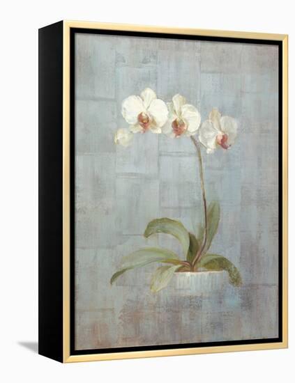 Elegant Orchid II-Danhui Nai-Framed Stretched Canvas