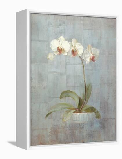 Elegant Orchid II-Danhui Nai-Framed Stretched Canvas