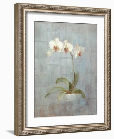 Elegant Orchid II-Danhui Nai-Framed Art Print